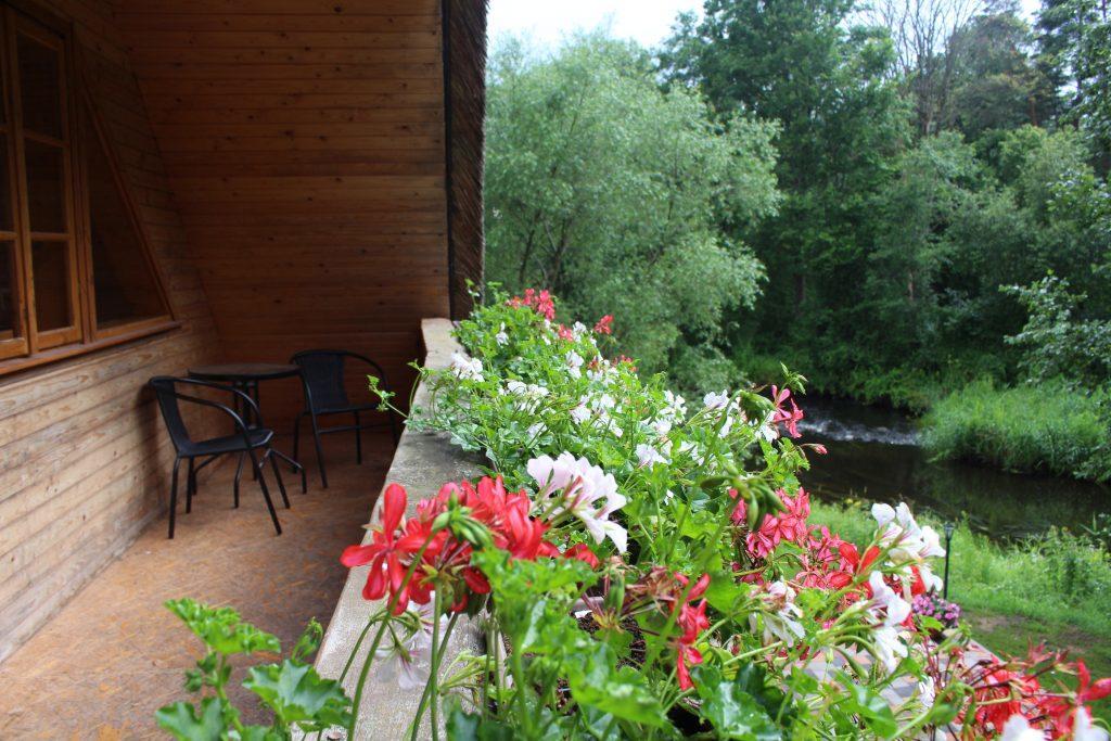 Hotel Viesu Nams Barzi Tinuzi Exterior foto